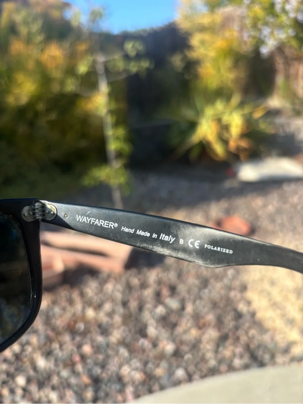 Sunglasses